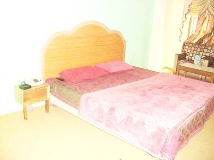 Hotel Thakur Palace, Manali 2